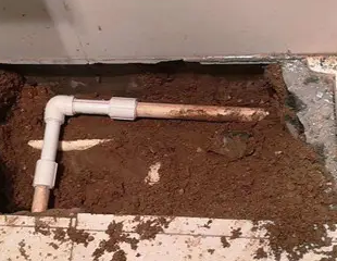 泽普测漏水哪家好