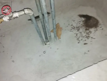 泽普卫生间测漏水价格明细