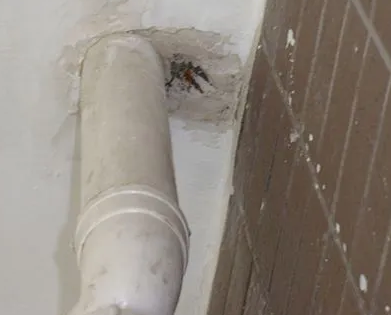 泽普漏水检测哪家好